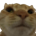 NuhUh animated Discord emote - *Hs7* United Animals Den