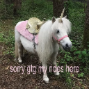 A white pony dressed as a unicorn with a pink saddle and horn stands in a forest with the text sorry gtg my rides here overl…