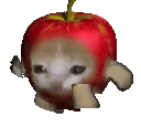 sad_cat_running animated GIF emoji - HaniCraft Community