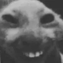 92949darkhumor Discord Emoji from .✦ ݁˖  𝐃𝐈𝐑𝐄𝐖𝐎𝐋𝐅 𝐃𝐄𝐍 .✦ ݁˖