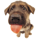 MLEEHHHH Discord Emoji - 𝐓𝐡𝐞 𝐂𝐫𝐞𝐚𝐭𝐮𝐫𝐞 𝐏𝐥𝐚𝐲𝐩𝐞𝐧