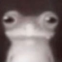 stare Discord sticker from Dane's Cove