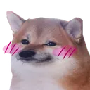 dog_shy custom emote from ♡ Dhadkan || Chill・Social・Dating・Hindi・Fun・Active・VC