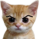 Angry_kitty custom emote | RON