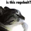 ragebait custom emote - 𝑷𝒂𝒓𝒂𝒅𝒊𝒔𝒆