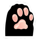 Cat paw with pink toe beans on a black background.