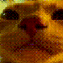 Cat head bobbing rhythmically while rapidly cycling through vibrant colors.