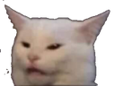 cat_mad custom emote | Korpora