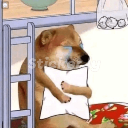 dogcry custom emote from Mundo dos Animes - Br