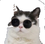 Simicat Discord sticker - GeoGuessr
