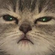 angryCAT Discord Emoji - Lucid Love ☾  Relationship ⭑ Social ⭑ Gaming ☽