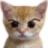 angyStare Discord sticker from Lucid Love ☾  Relationship ⭑ Social ⭑ Gaming ☽