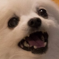 Gabe Discord Emoji | DM Request 📪 ⌇ Ask To DM & Chatting ⌇ Non Dating ⌇ Social ⌇ Friendly ⌇ Nitro ⌇Non Toxic