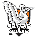 A white swan with spread wings set against an orange and black shield emblem with the text melnais gulbis.