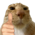 CatGoodJob custom emote from [26.2+] Inferno Events