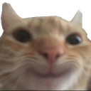 catstare_happy custom emote | ATGs (All The Gamers)