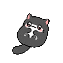 714804catbelly animated GIF emoji from Study Space