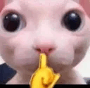 55490bingusshush Discord Emoji | FNL