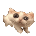 cat03cscared animated Discord emote - Study Space