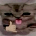 emoji_41 custom emote - #  `  𝗞𝗡𝗗𝗞 𝗙𝗮𝗺𝗶𝗹𝘆