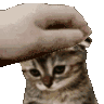 CatoSadPat animated emote from Besties Community