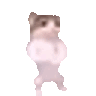 catpls animated emote - Dadscord | Active VC Discord • SFW • Anime • Chill • Social • Emojis • VC • Active Voice Chat