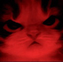 SH_cat_angry Discord Emoji | Friends 18+ Sfw | Adults-only • active-chat • Mature • Friendly • Gaming • Lgbtq+ • Hangout
