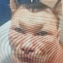 Distorted human face with a warped, unsettling expression and low-quality texture.