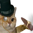 83900richcat custom emote | MANAVA MULTIVERSE