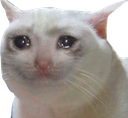 emoji_99 Discord sticker | ☘ 𝕄𝕀𝔻ℕ𝕀𝕄𝕆 ☘