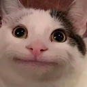 beluga Discord Emoji - ATGs (All The Gamers)