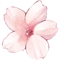 FlowerSakura Discord Emoji | 𓆩❈𓆪 Sylvara Café 𓆩❈𓆪