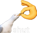 shut custom emote | FAAAHHHH