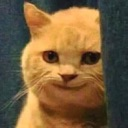emoji_13 custom emote from N,A
