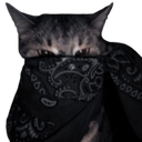 8089blackbandanacat Discord Emoji - CommunityOne Builders Help