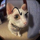 huh Discord sticker - 𝓣𝓱𝓮 𝓛𝓞𝓤𝓝𝓖𝓔