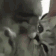 A tongue repeatedly licking a surface in a rapid, low-resolution animation.
