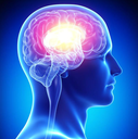 brain Discord sticker from Transhumanism