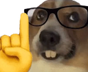 2066nerddoggo custom emote | DM Request ¹⁸⁺  📪 ⌇ Adult Only  ⌇ sᴘʀᴇᴀᴅ Love ⌇  Non Toxic  ⌇Connection  ⌇ 𝓷𝓸𝓷  Dating