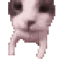 1048802481498488908 animated GIF emoji - דושי גאנג