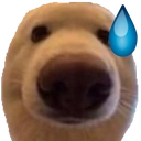 dognau2 custom emote | 𝘙𝘌𝘈𝘓𝘐𝘛𝘠 𝘈𝘞𝘈𝘐𝘛𝘚... but after 24.7