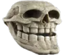 sus_trollface Discord sticker | MoneyHubOnline