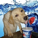 ArtistCafe_pepsidog Discord sticker from Artist Cafe