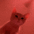 MADCATVIBIN animated emote - #VTuberTH/ToBreakTheLoop