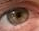 eyesee Discord Emoji | /r/christians