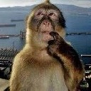 monkeythink custom emote from The Greenhouse