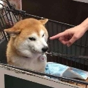 emoji_34 Discord Emoji from Aeri's Sanctuary