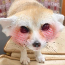 Blushnies custom emote - Raynies