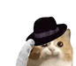 CatFedora animated GIF emoji from Valnoria • Coummunty#Yetkilialım#Bakım