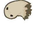 k9_ghostspin animated emote | Wisp Grove